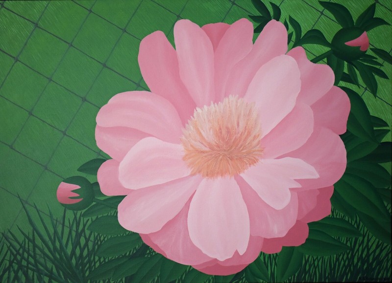«PEONY», Acrylic Paint on Canvas , 16″ x 22″, 2019, Paeony, Paeonia, Paeoniaceae