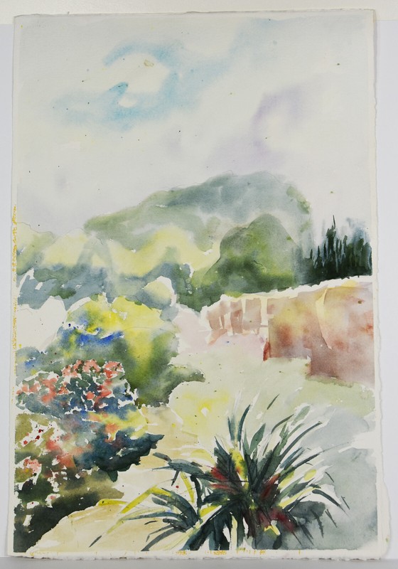 22″ Watercolor Painting Paper Carolynn Mann Art Floral Landscape Hills Blue Sky