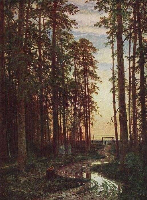 Oil painting Ivan-Shishkin-Evening-in-a-pine-forest nice landscape art