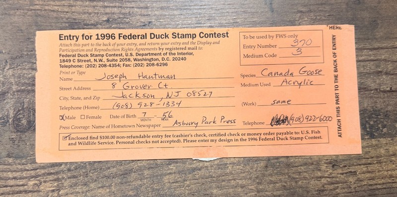 ORIGINAL Acrylic Painting by *Joe Hautman* 1996 Federal Duck Stamp Contest Entry gallery