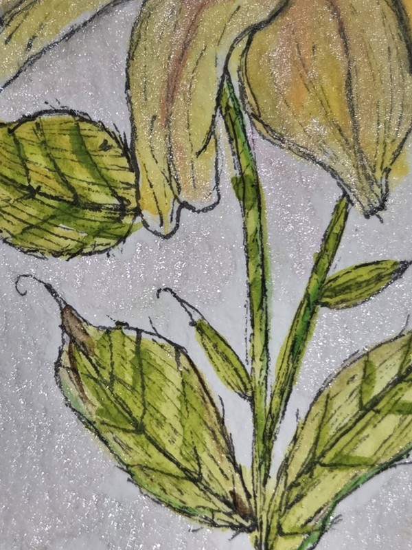 ACEO Original Watercolor & Ink Yellow Coneflowers Floral Miniature Art 2.5 x 3.5 gallery