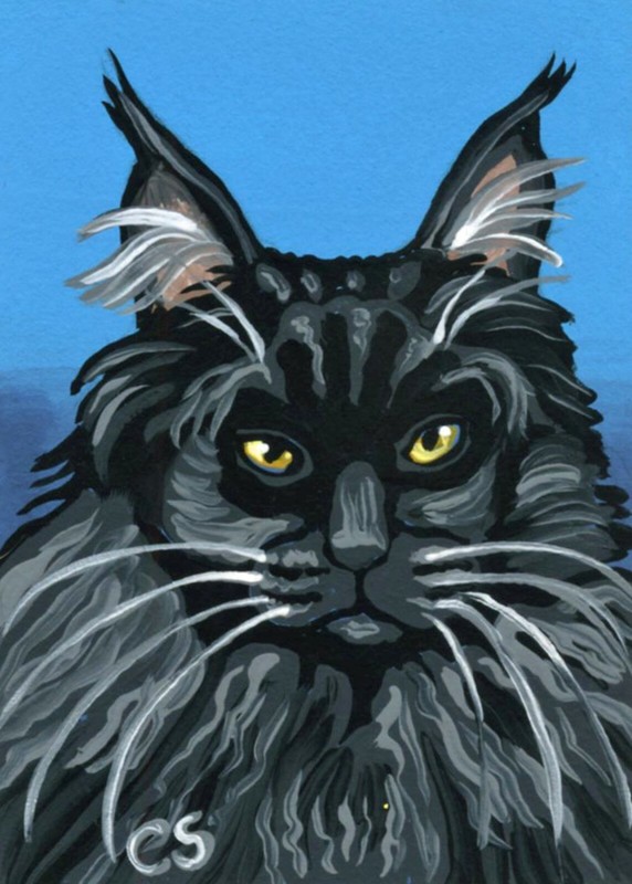 ACEO Original Miniature Painting Black Maine Coon Pet Cat Art -Carla Smale
