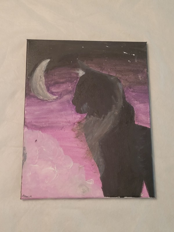 Maine coon and the night sky gallery