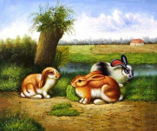 MQ246 Stretched Canvas Frame / Unframed Handmade Rabbits Animals Oil Painting gallery