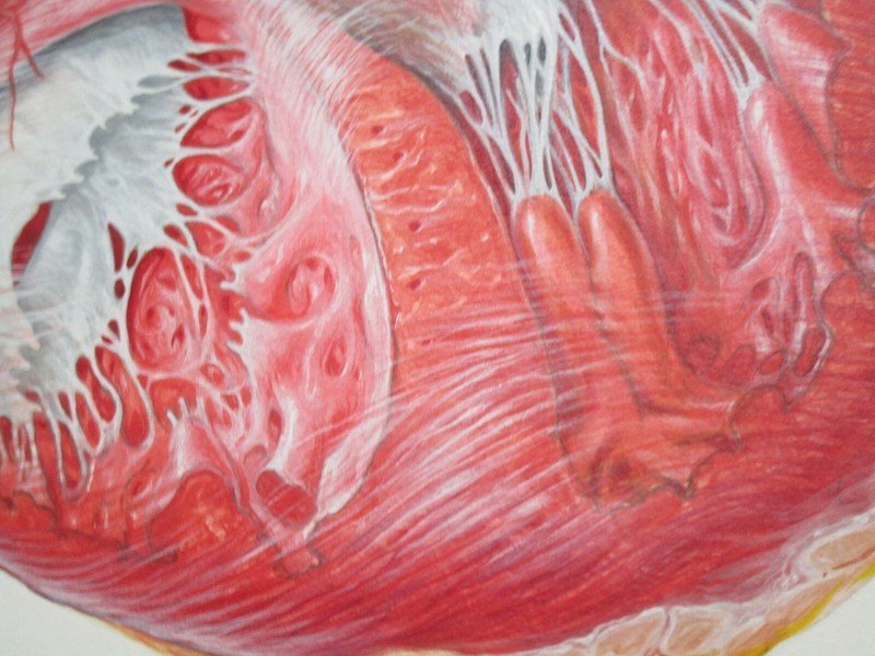 TED BLOODHART PAINTING POP ART HUMAN SCIENCE MEDICAL SURGICAL REALISM HEART OLD gallery