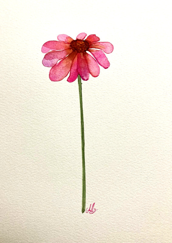 Pink Flower Watercolor Original Painting Minimalism