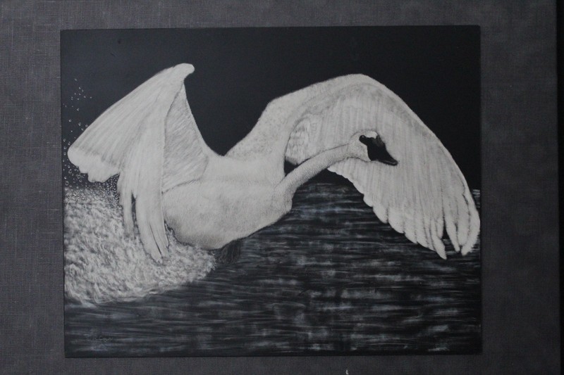 Grace in Motion – Original Scratchboard Art by Rich Cayou” gallery