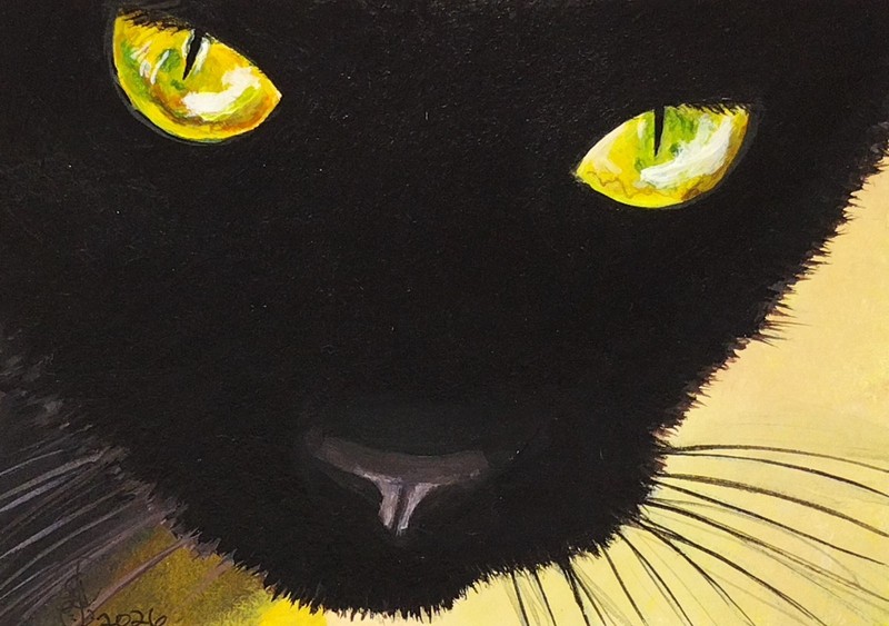 ACEO Original Acrylic Painting. Black Cat Eyes. Artist Gabriela H.