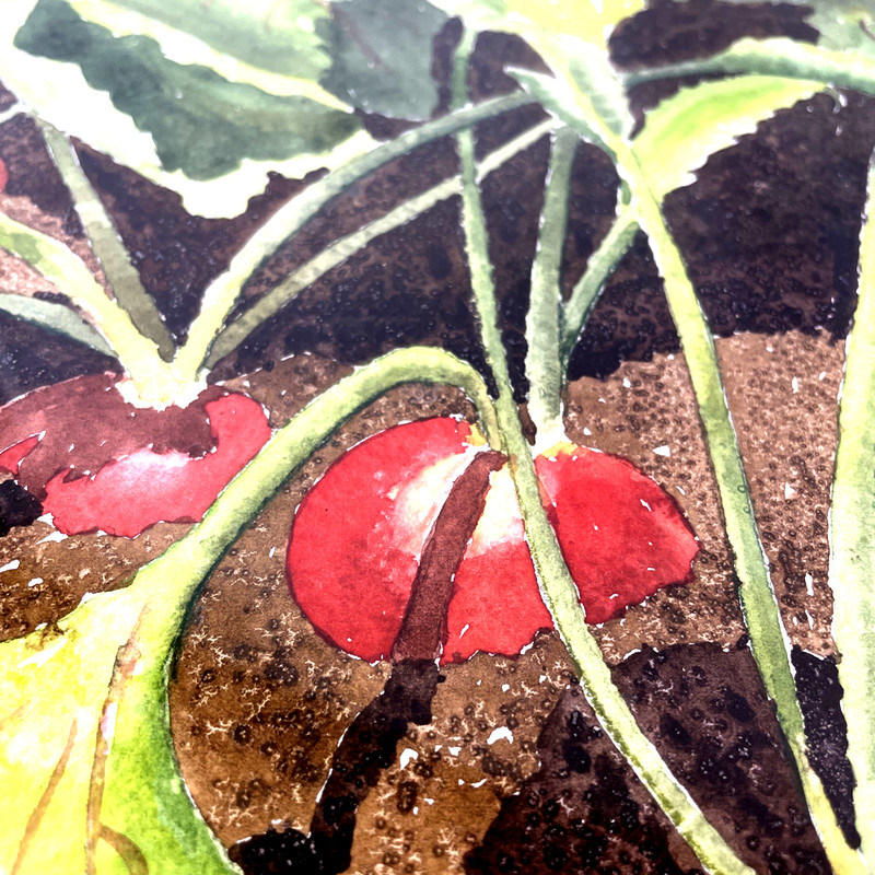 Original Radish Garden Watercolor Painting Framed Kitchen Art Farmhouse gallery