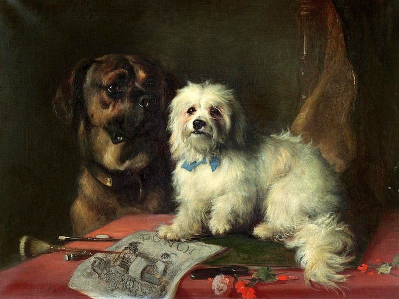 Oil painting beautiful two dogs nice animals sitting Hand painted 36″