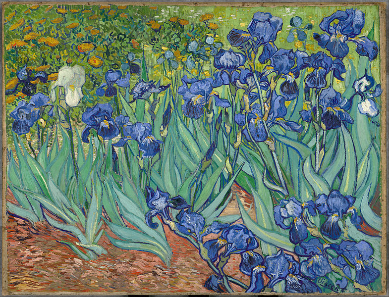 Irises-Vincent van Gogh Canvas 100% cotton wall home Decor high quality