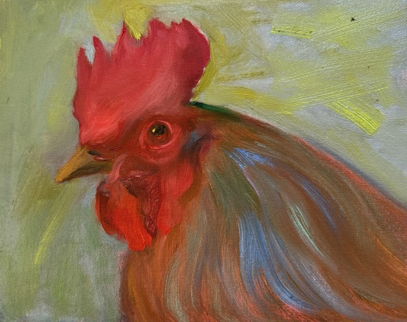 “RED” Study Of Rooster OIL PAINTING