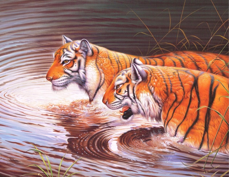 Animal Miniature Painting Of two Bengal Tigers Standing In Water Nature Art gallery