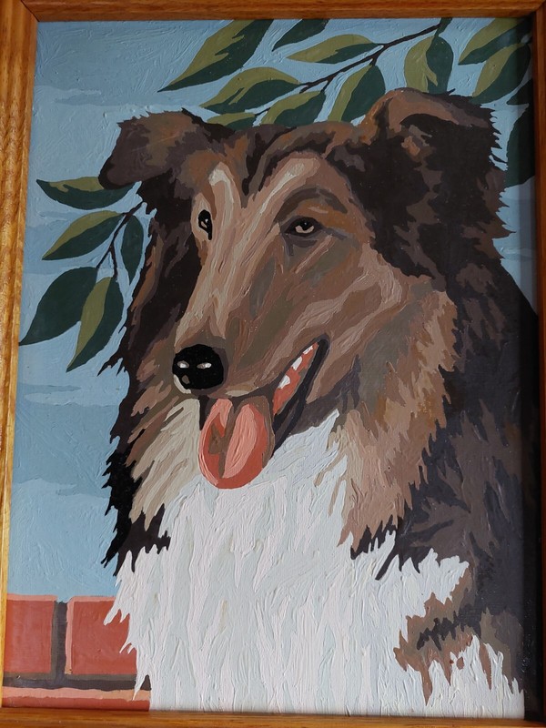 Vintage Paint by Number Dog Collie Finished 12x15 Wood Frame Lassie MCM gallery