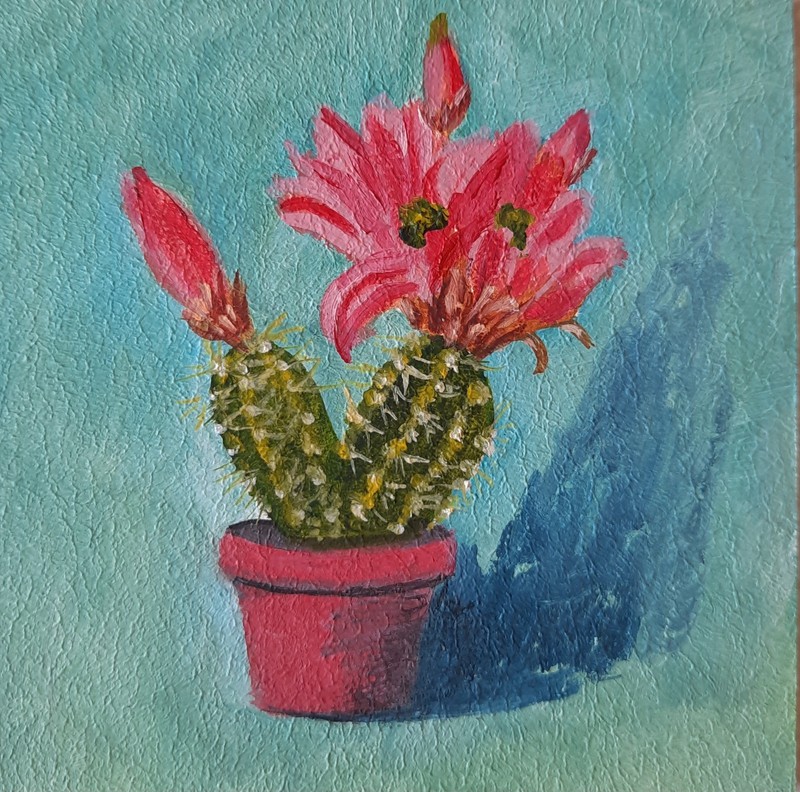 ORIGINAL Oil Painting HANDMADE Miniature Cactus Flowers Still life Contemporary