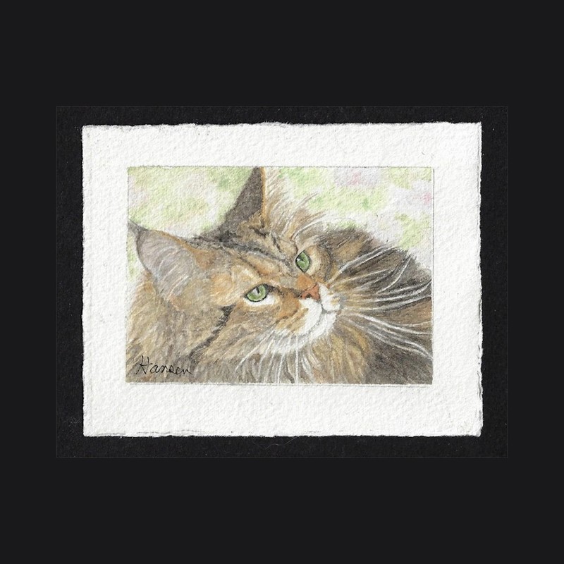 ACEO Original MAINE COON CAT Miniature Watercolor Painting with mat «Cosette»