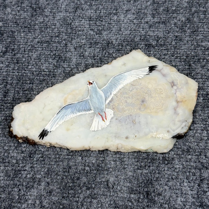 Haynes White Gray Acrylic Seagull Painting On Agate Slice OOAK Signed Beach gallery
