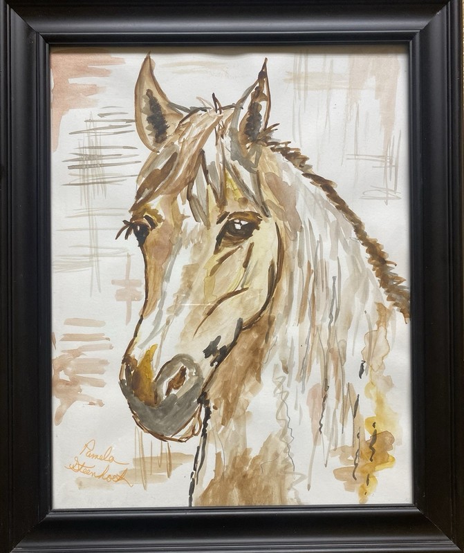 Romeo The Horse