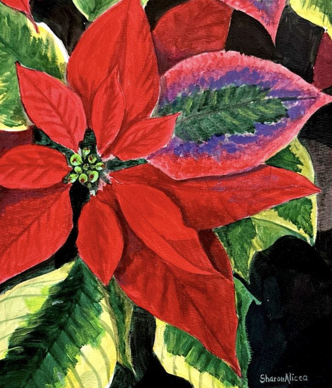 Red Flower Figurative Botanical Art 12×9 Acrylic on paper. Framing available.