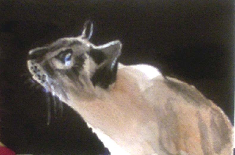 ACEO Siamese Cat bird watching print from Original Watercolor painting