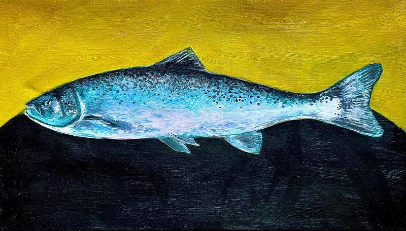 «Lasis» (Salmon) Painting Acrylic on Linen 20x35cm | 8x14in