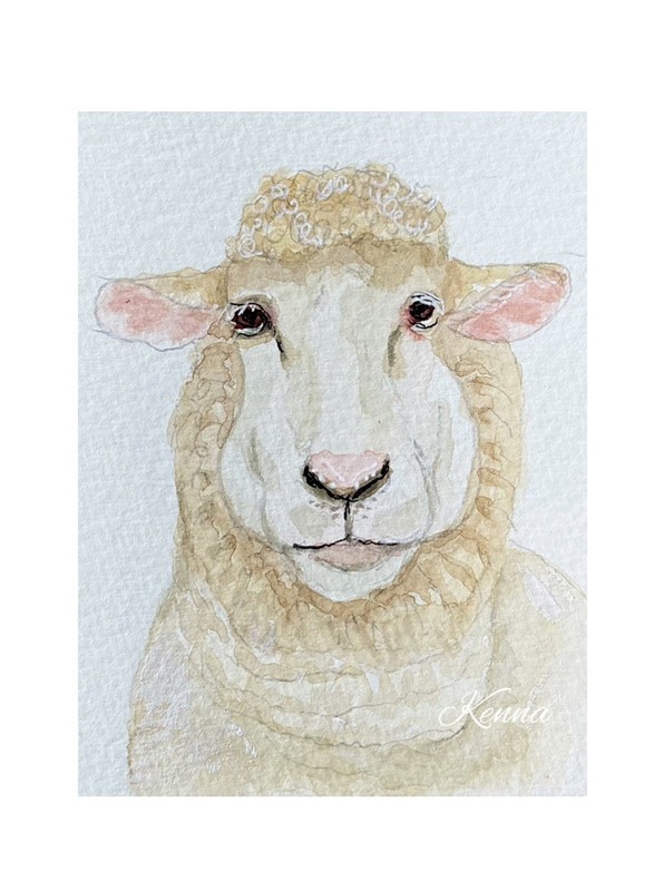 ACEO By Kenna Original Watercolour Painting Of A Sheep 2.5” X 3.5” Signed ÀTC