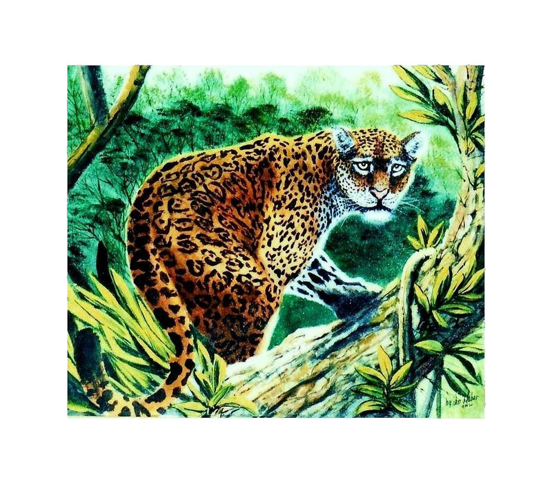 Original Acrylic Painting Hand Created / Signed by Jon Haber UNFRAMED
