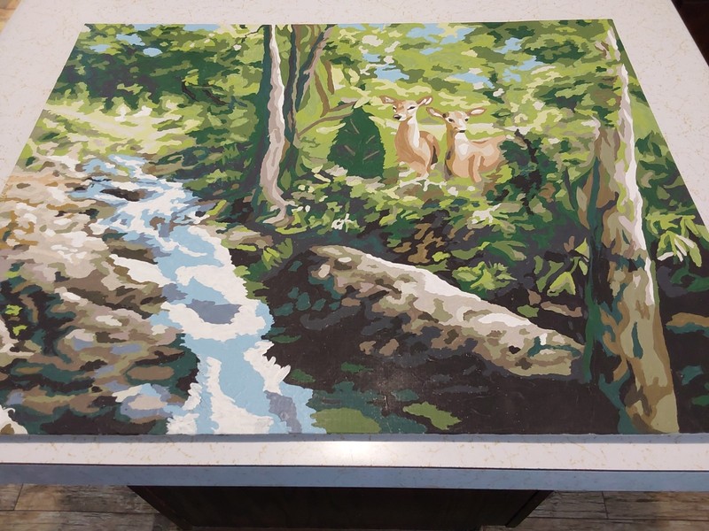 PAINT By Number COMPLETE "FAWNS IN THE FOREST" 20 x 16 Painting 2012 gallery