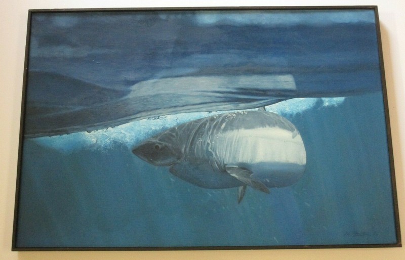 Shark Painting Ocean Nautical Sea Life Realistic Modernist Signed Vintage