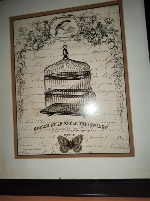 2 French Style Birdcage Art Print Glass Frame Decorative Wall Painting