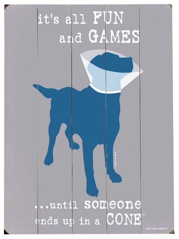 ArteHouse – 12″ x 16″ Plank Wood Sign – Fun & Games Until the Cone