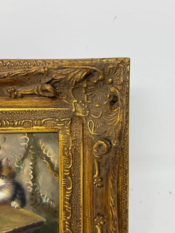 Peeking Paws gallery