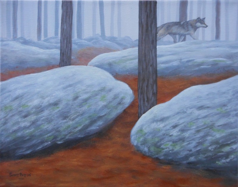 Scott Patton Art: «A Fleeting Glimpse: Gray Wolf» Original Wildlife Painting