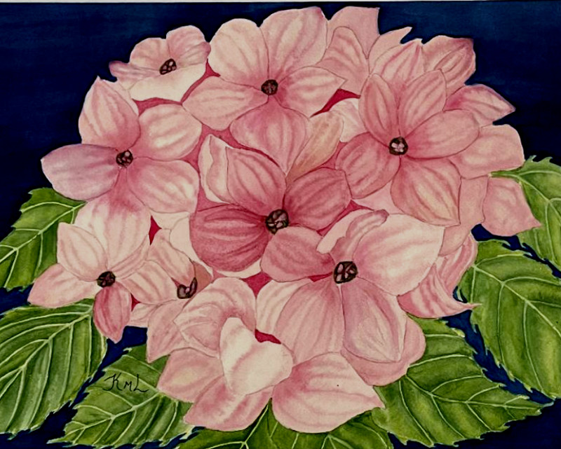PAINTING WATERCOLOR ORIGINAL ART HYDRANGEA FLOWER PINK GREEN 1X14 MAT 16X20