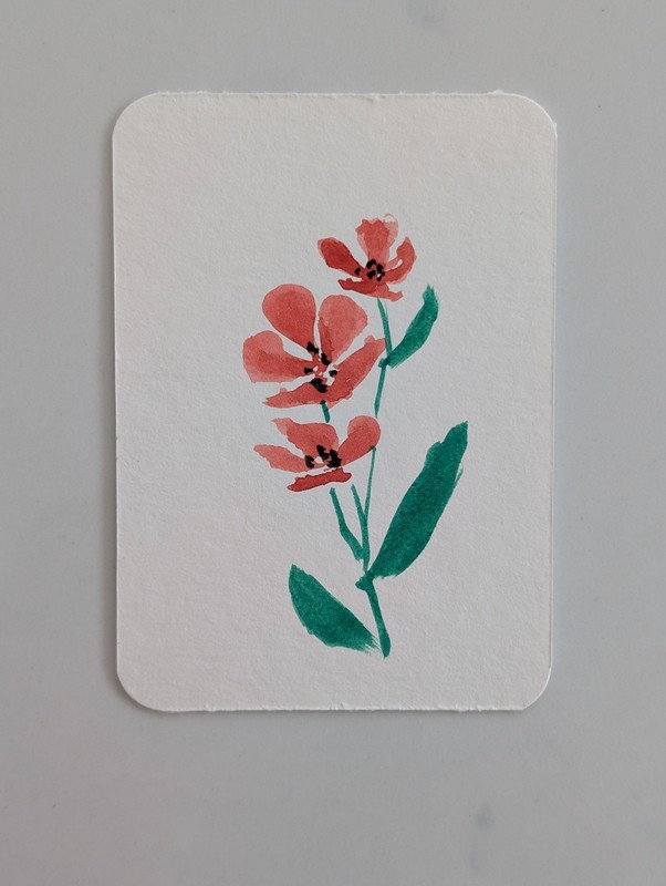 Original Watercolor ACEO – Red Poppy Wildflower – Floral Nature Art – 2.5″ x 3.5