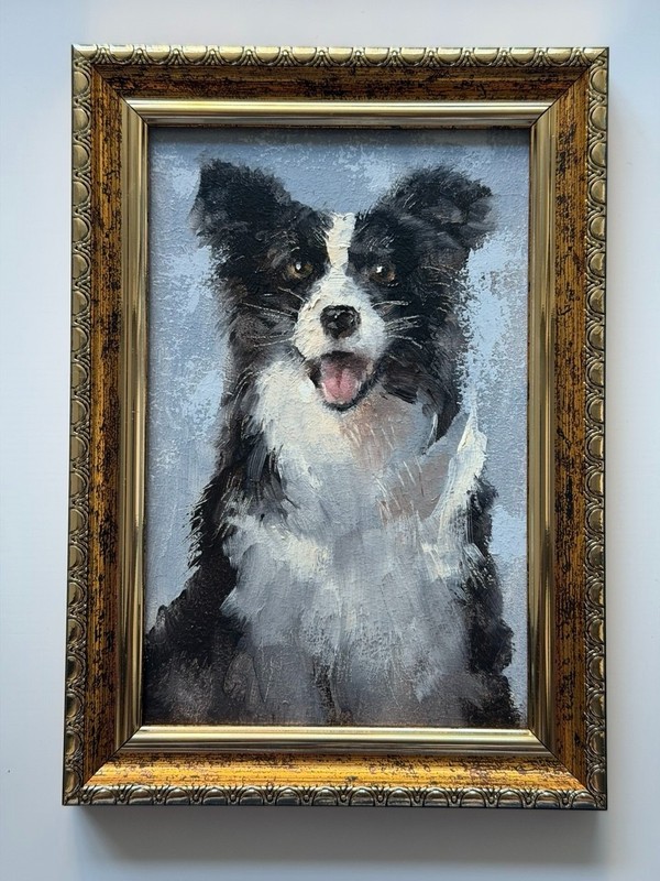 Border Collie Oil Painting Original Framed Dog Portrait Animal Art Gift 6х4in