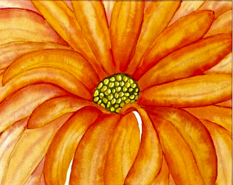 PAINTING WATERCOLOR 11X14 MAT 8X10 FLOWER DAISY ORANGE CORAL PINK ORIGINAL ART