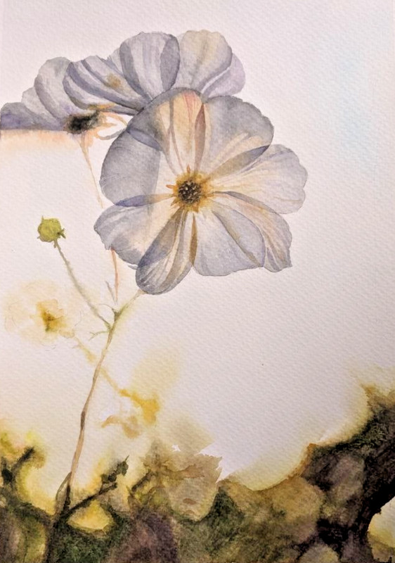 Abstract Floral Watercolor Painting White Background Romantic Botanical A4 Art
