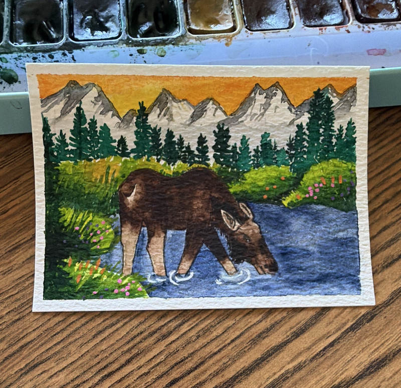 Donna Hawk Original Watercolor Moose Mountain River Signed ACEO reg-8118