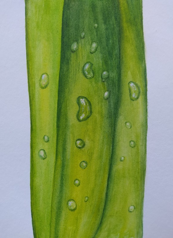 Original watercolor painting Dew on a leaf 5,9 x 7,8 in Minialism