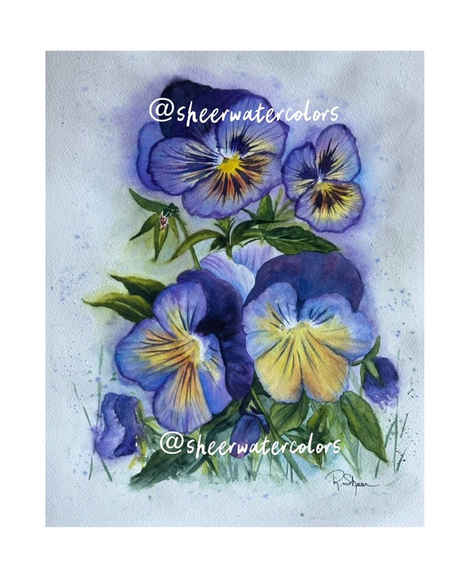 Sheerwatercolors Original Painting Purple Pansies Flowers Botanical Floral Decor