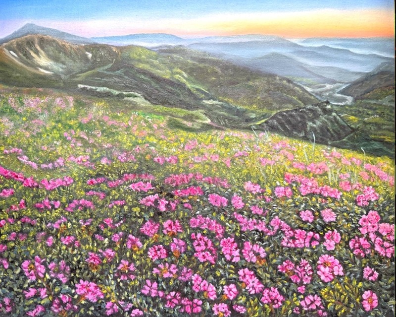 art 537 Original Oil Painting on Canvas – Carpathians Hoverla – 15.7×19.7 in
