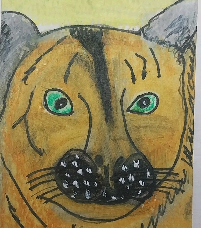 GAT ACEO ORIGINAL OIL Painting art CARD Impressionism Mountain Lion ATC Animal