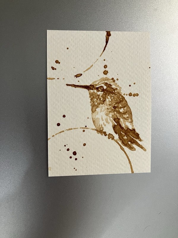 Aceo ORIGINAL Coffee Hummingbird Painting Bird Lover ATC Art Miniature Realism