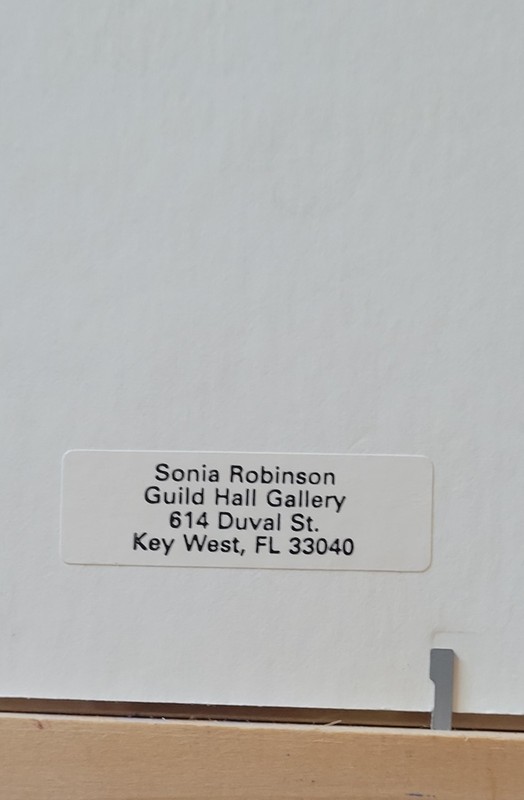 Sonia Robinson Night Flying - Key West - Original Pastel -(21×17) Framed. gallery
