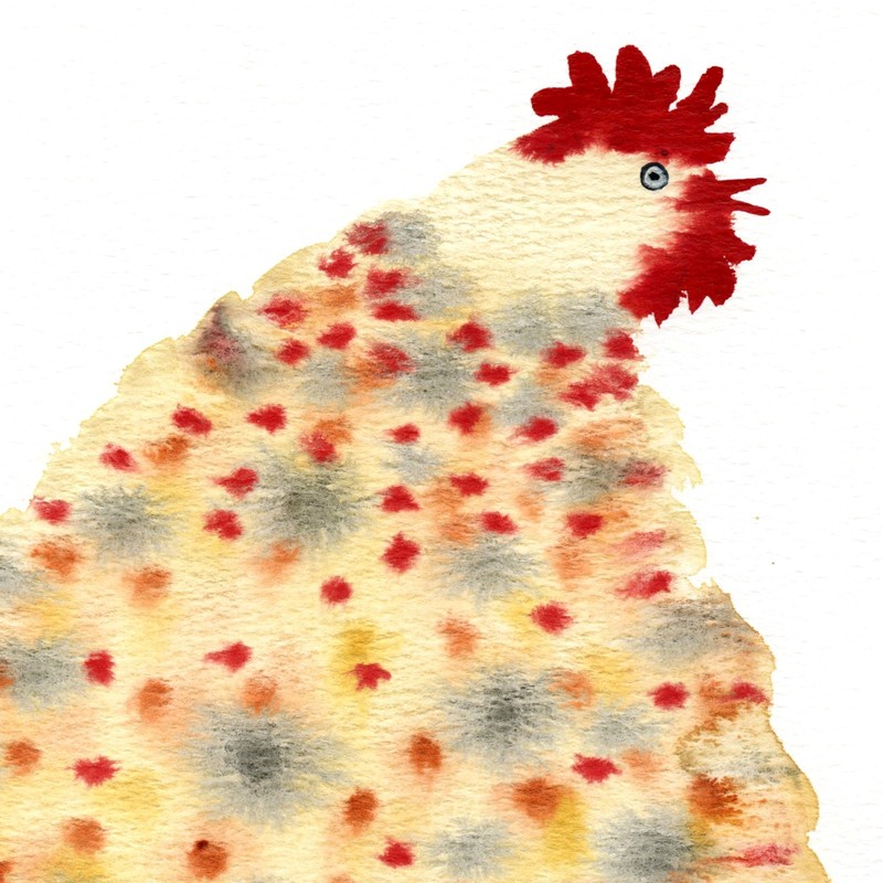 Abstract Chicken Painting, Watercolor Farm Animal Art 8x10 gallery
