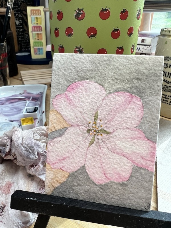 ACEO/ATC Original Painting 2.5 x 3.5 In., Watercolor Cherry Blossom Flower Bloom