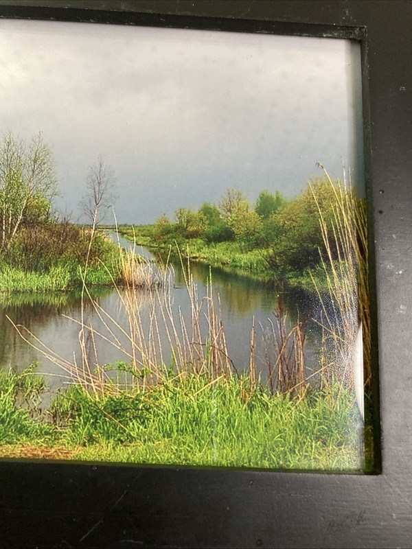 Framed Landscape Photo Of Marsh Stream Grasses Reeds Trees Green-Yellow-Blue Hue gallery
