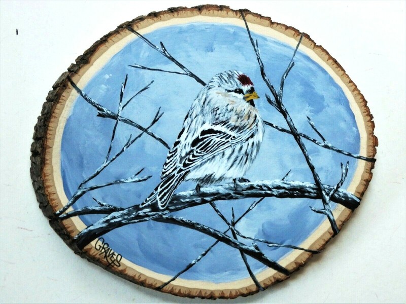 Hand Painted Winter Redpoll On Live Edge Basswood By Phyllis