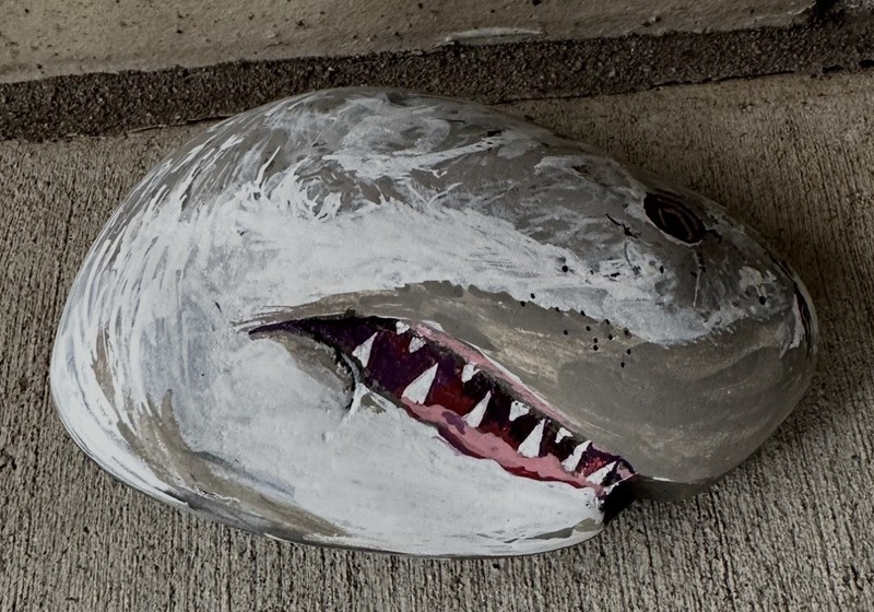 Shark W/natural Mouth Indentation Painted on a Rock! Approx 5 1/2“ X 4“ X 2“￼ gallery